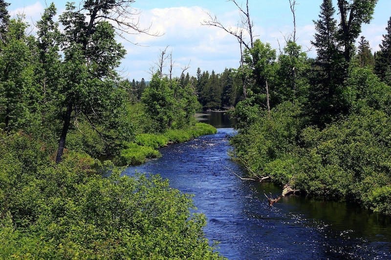 Montrose, Minnesota, Finds Elevated Levels of Manganese in Drinking