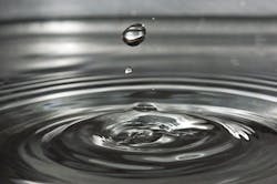 65e728611f04ab001e1d8a03 Wellwater 0 65e728611f04ab001e1d8a03 Wellwater 0