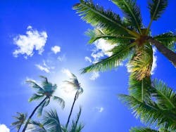 65e728a2a9f492001e1be3a2 Hawaiiwater 2 65e728a2a9f492001e1be3a2 Hawaiiwater 2