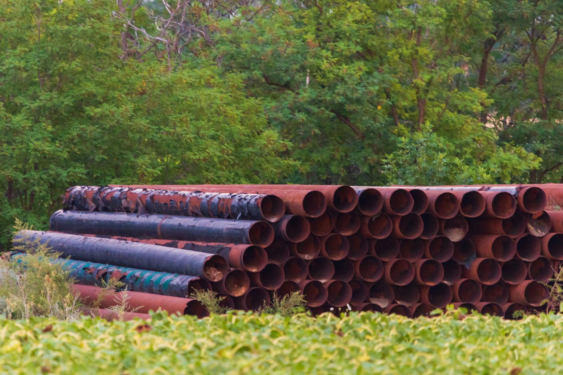 65e72961a9f492001e1be476 Dreamstime Xl 124101474