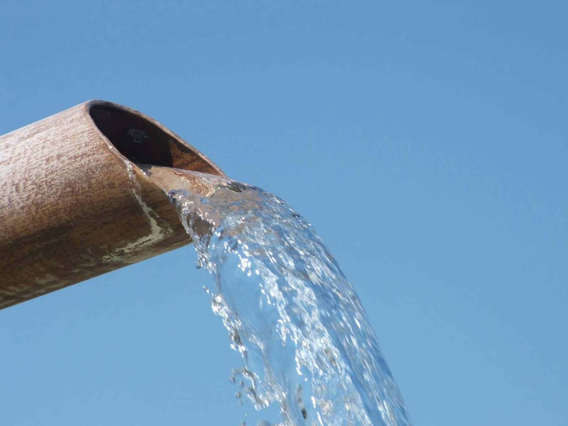 65e7296fa9f492001e1be489 Dreamstime Xxl 1894581