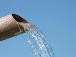 65e7296fa9f492001e1be489 Dreamstime Xxl 1894581 65e7296fa9f492001e1be489 Dreamstime Xxl 1894581