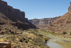 65e72a221f04ab001e1d8c05 Dreamstime Xl 132006211 65e72a221f04ab001e1d8c05 Dreamstime Xl 132006211