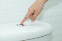 65e72a3a1f04ab001e1d8c18 Dreamstime Xxl 115647367 65e72a3a1f04ab001e1d8c18 Dreamstime Xxl 115647367