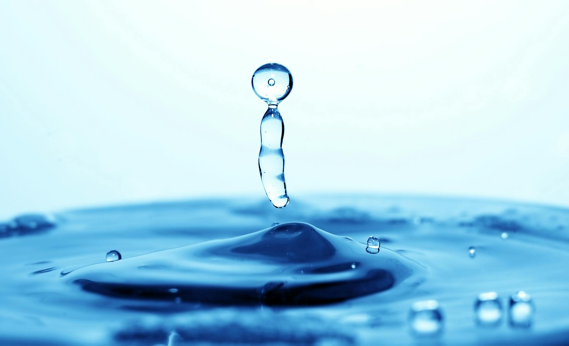 65e72aa51f04ab001e1d8c74 Dreamstime Xxl 5153368