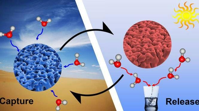 A schematic diagram of a hydrogel's daytime atmospheric water harvesting cycle.