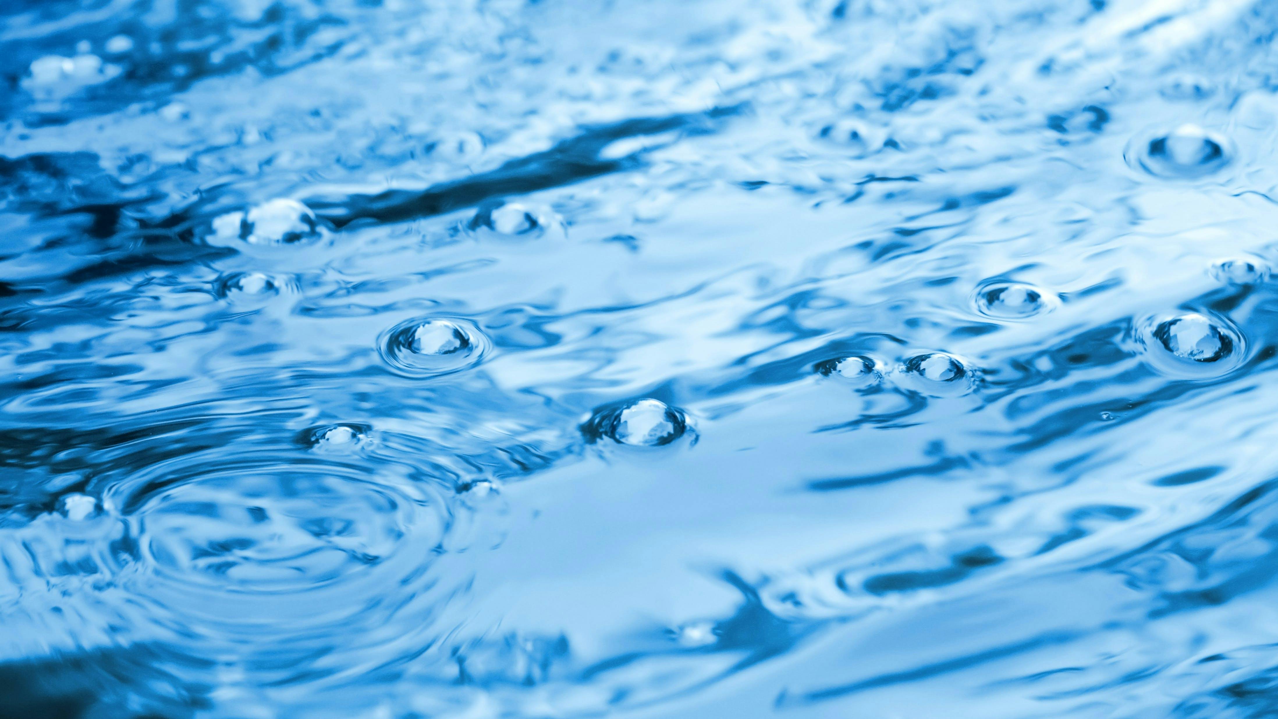 dreamstime_xxl_31287240