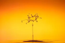 65e72c101f04ab001e1d8e21 Waterdrops 65e72c101f04ab001e1d8e21 Waterdrops