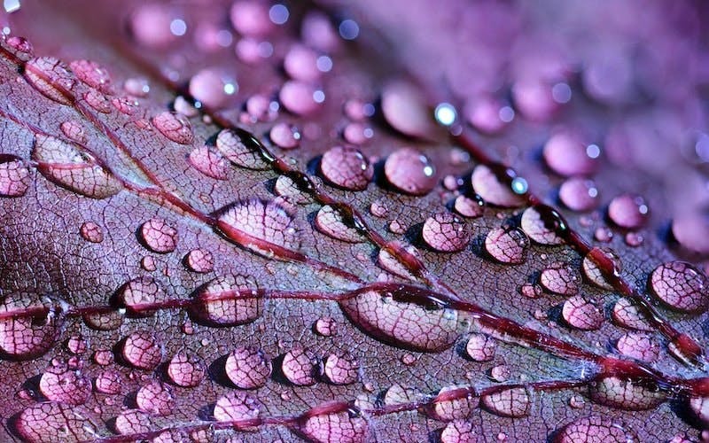 65e72c581f04ab001e1d8eb9 Water Drop 0