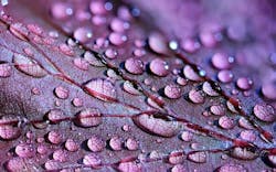 65e72c581f04ab001e1d8eb9 Water Drop 0 65e72c581f04ab001e1d8eb9 Water Drop 0