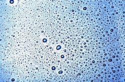 65e72c971f04ab001e1d8ee7 Cleanwater 65e72c971f04ab001e1d8ee7 Cleanwater