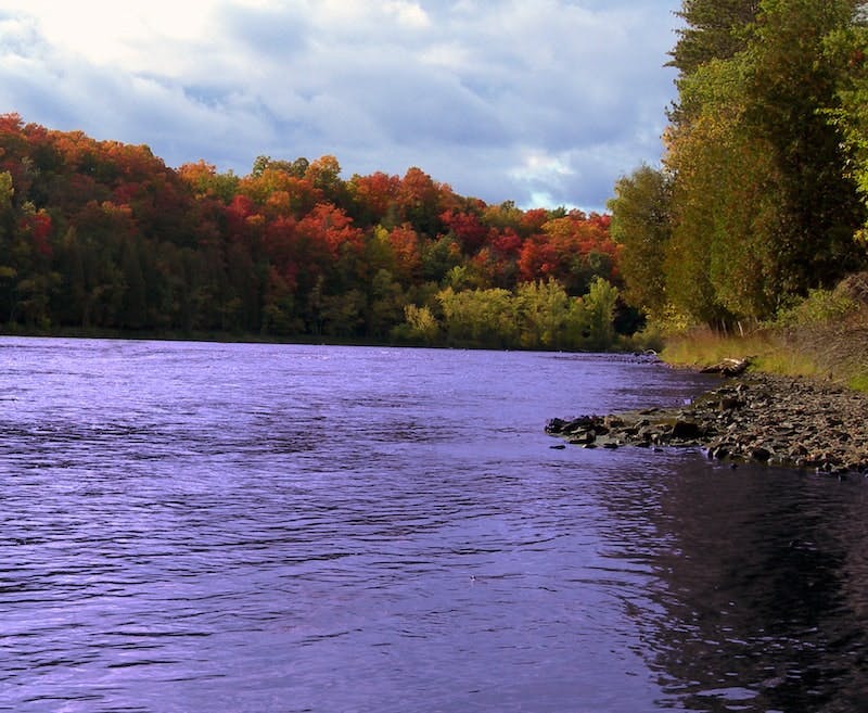 65e72d13a9f492001e1be934 Pfasdrinkingwater