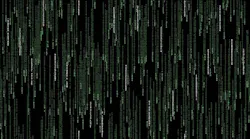 hacker