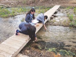 65e72dda1f04ab001e1d9061 Stem Academy 65e72dda1f04ab001e1d9061 Stem Academy