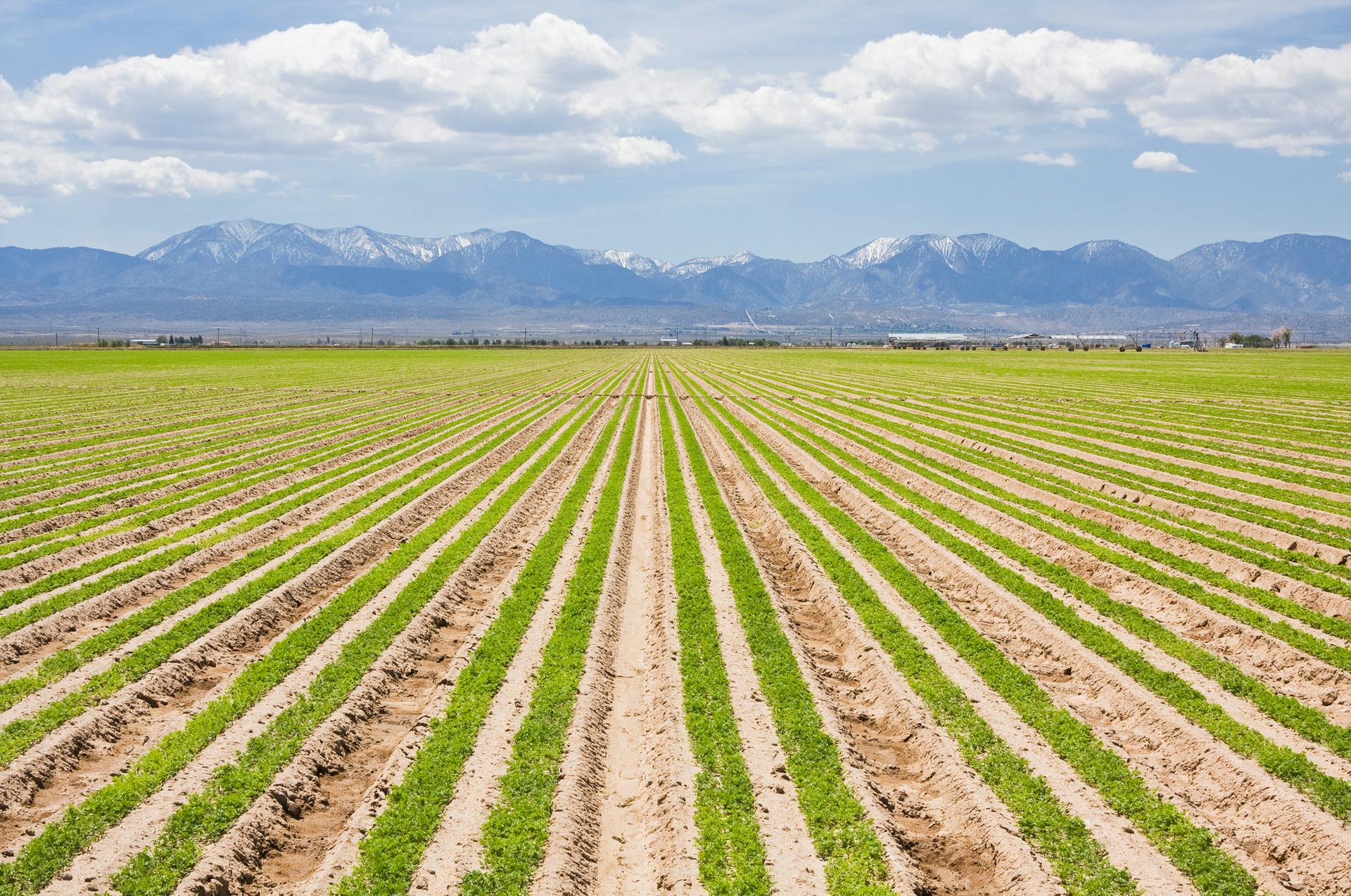 65e72e1a1f04ab001e1d90de Dreamstime Xl 16369508