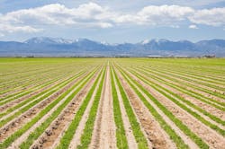 65e72e1a1f04ab001e1d90de Dreamstime Xl 16369508 65e72e1a1f04ab001e1d90de Dreamstime Xl 16369508