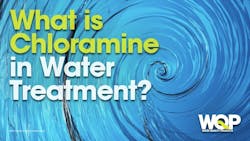 65e72e55a9f492001e1beafb Chloramine 1221 0 65e72e55a9f492001e1beafb Chloramine 1221 0