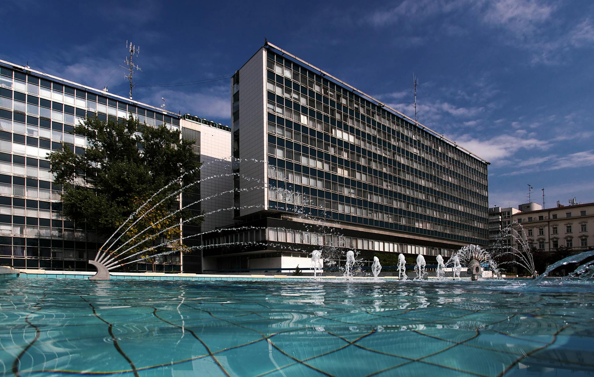 65e72e821f04ab001e1d9152 Dreamstime Xxl 11311994