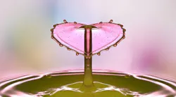 drop-of-water-2195585_960_720