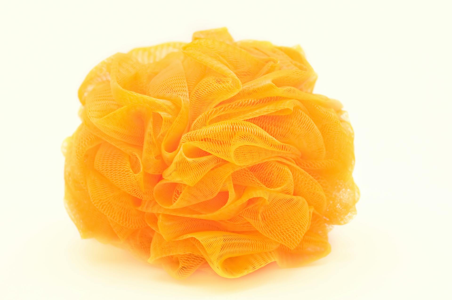 65e72ee6a9f492001e1bebe2 Dreamstime Xxl 9323313