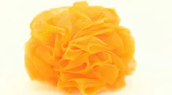 Dreamstime Xxl 9323313