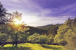 65e72f85a9f492001e1becd5 Groundwater 1 65e72f85a9f492001e1becd5 Groundwater 1