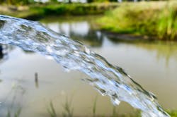 65e72fc51f04ab001e1d9319 Dreamstime Xxl 149106693 65e72fc51f04ab001e1d9319 Dreamstime Xxl 149106693