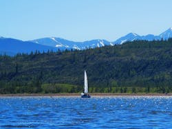 65e73034a9f492001e1bedbe Frisco Drinking Water 65e73034a9f492001e1bedbe Frisco Drinking Water