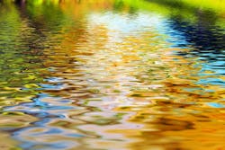 65e731181f04ab001e1d948c Clean Water 65e731181f04ab001e1d948c Clean Water