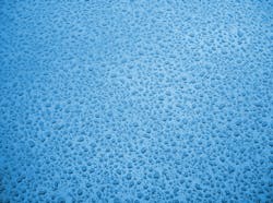 65e73209a9f492001e1befc9 Dreamstime Xxl 5155280 65e73209a9f492001e1befc9 Dreamstime Xxl 5155280