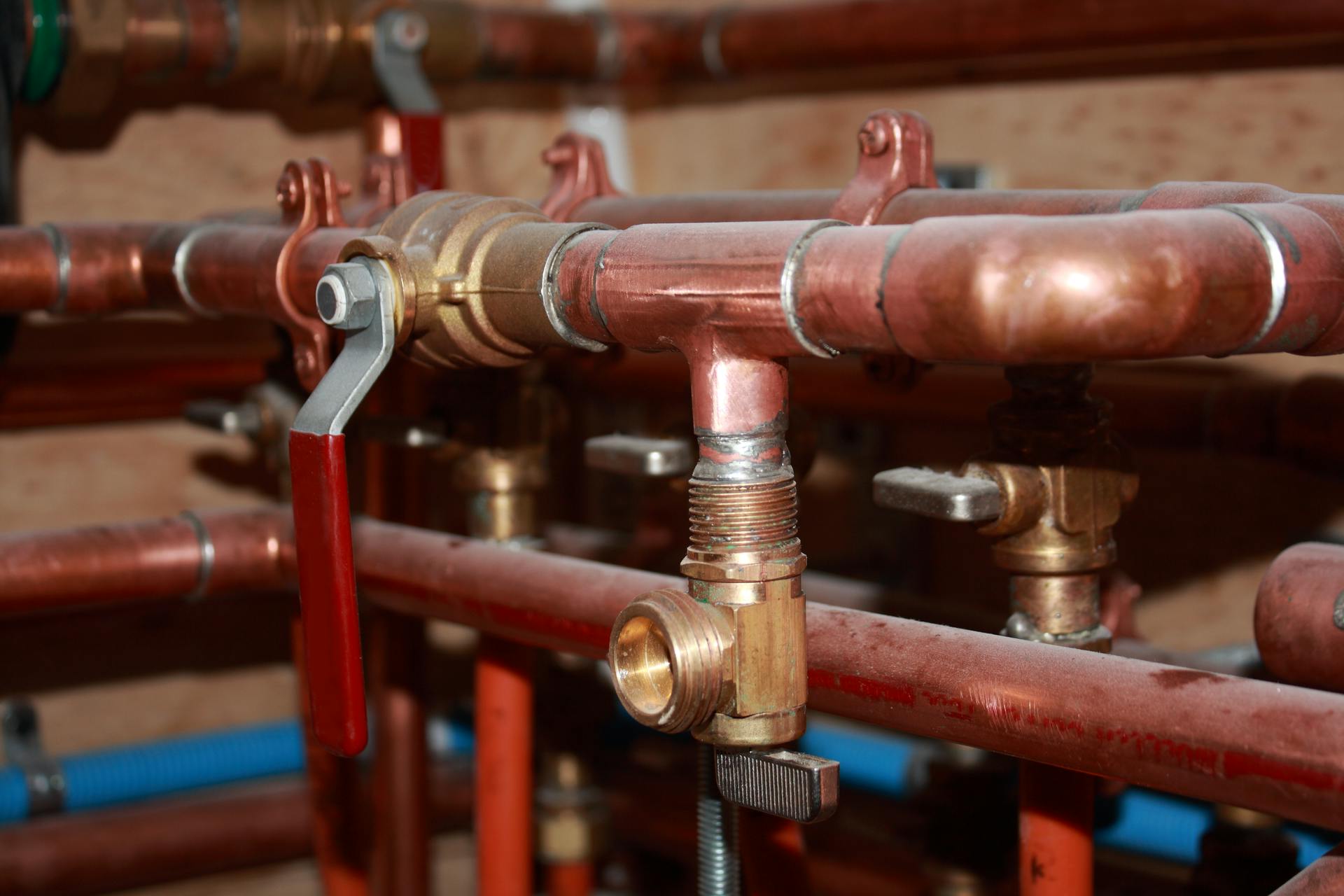 65e7320ca9f492001e1befd0 Dreamstime Xxl 36833670