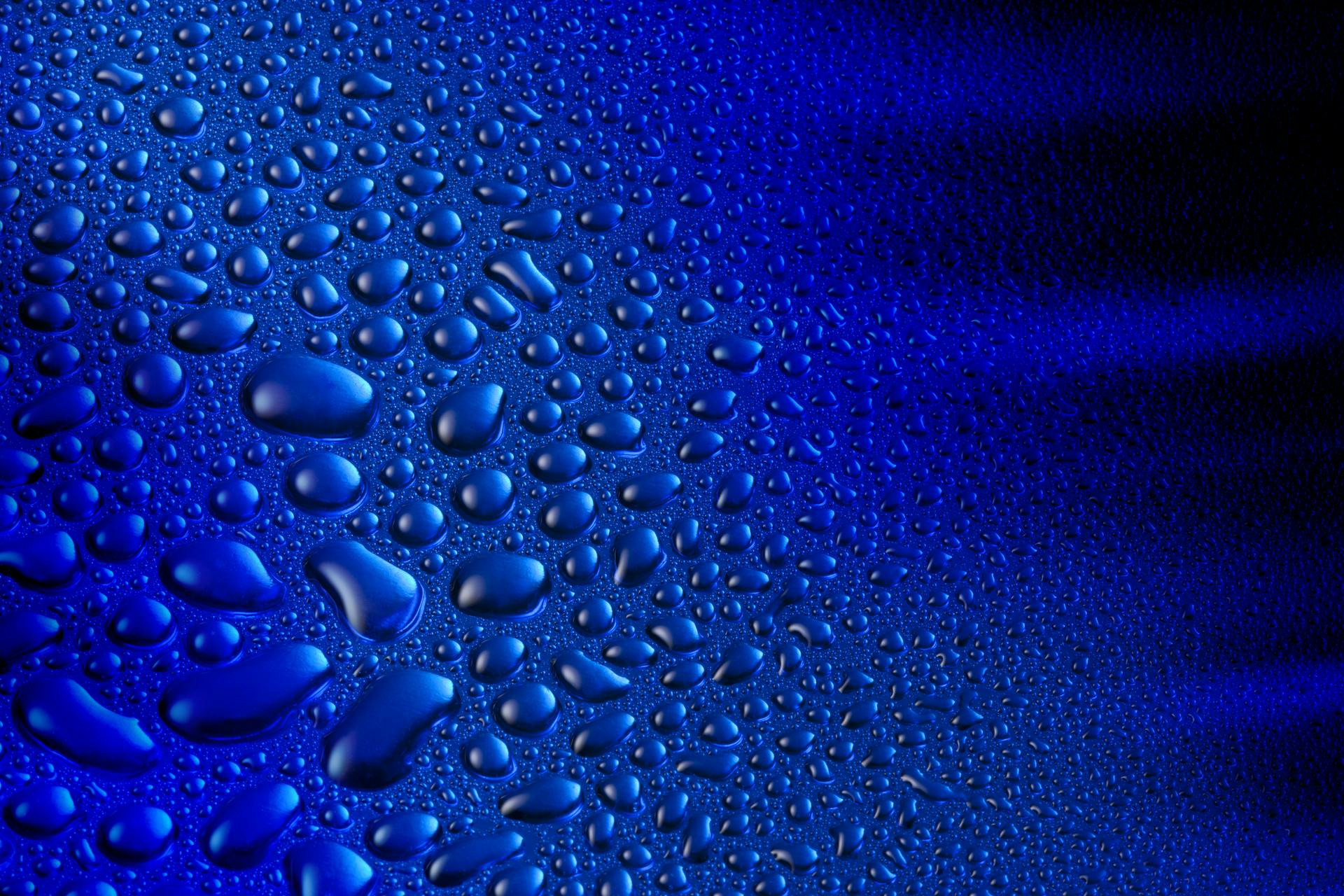 65e73213a9f492001e1befd7 Dreamstime Xxl 19066312