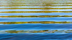 Dreamstime 31537592 (1)