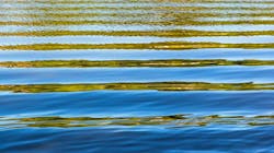 65e73252a9f492001e1bf042 Dreamstime 31537592 1 65e73252a9f492001e1bf042 Dreamstime 31537592 1