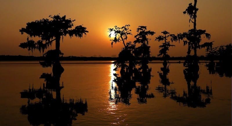 65e732ba1f04ab001e1d9638 Louisiana Watermin