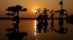 louisiana water-min