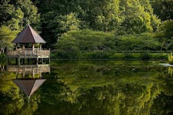 65e7332f1f04ab001e1d96ca Drinkingwater 11 65e7332f1f04ab001e1d96ca Drinkingwater 11