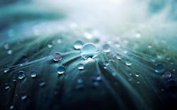 65e733311f04ab001e1d96d0 Waterdrops 0 65e733311f04ab001e1d96d0 Waterdrops 0