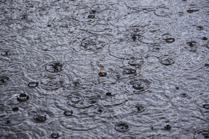 65e7333b1f04ab001e1d96df Rainfall