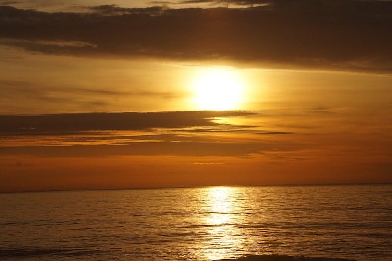 65e73346a9f492001e1bf1bb Newjersey