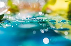 65e7334b1f04ab001e1d96fb Drinkingwater 65e7334b1f04ab001e1d96fb Drinkingwater