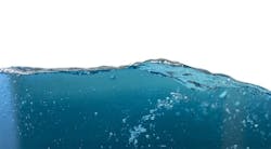 65e7336d1f04ab001e1d9721 Drinkingwater 42 65e7336d1f04ab001e1d9721 Drinkingwater 42