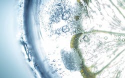 65e733821f04ab001e1d9728 Drinkingwater 1 65e733821f04ab001e1d9728 Drinkingwater 1