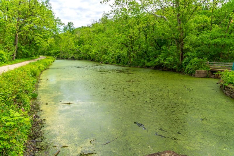 65e7339b1f04ab001e1d974f Anacostiariver