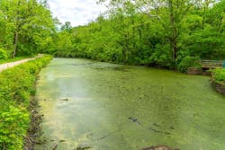 65e7339b1f04ab001e1d974f Anacostiariver 65e7339b1f04ab001e1d974f Anacostiariver