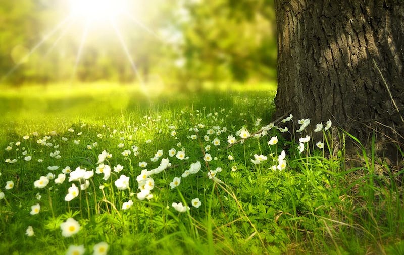 65e733cba9f492001e1bf25c Environmentalprotection