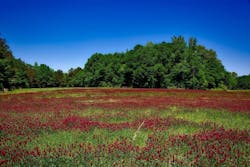 65e733d71f04ab001e1d9791 Alabamawater 65e733d71f04ab001e1d9791 Alabamawater