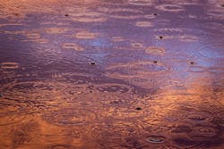 65e733e91f04ab001e1d97a9 Waterquality1 65e733e91f04ab001e1d97a9 Waterquality1