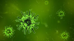 ozone-bacteria