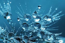 65e7345a1f04ab001e1d9877 Water 13 65e7345a1f04ab001e1d9877 Water 13